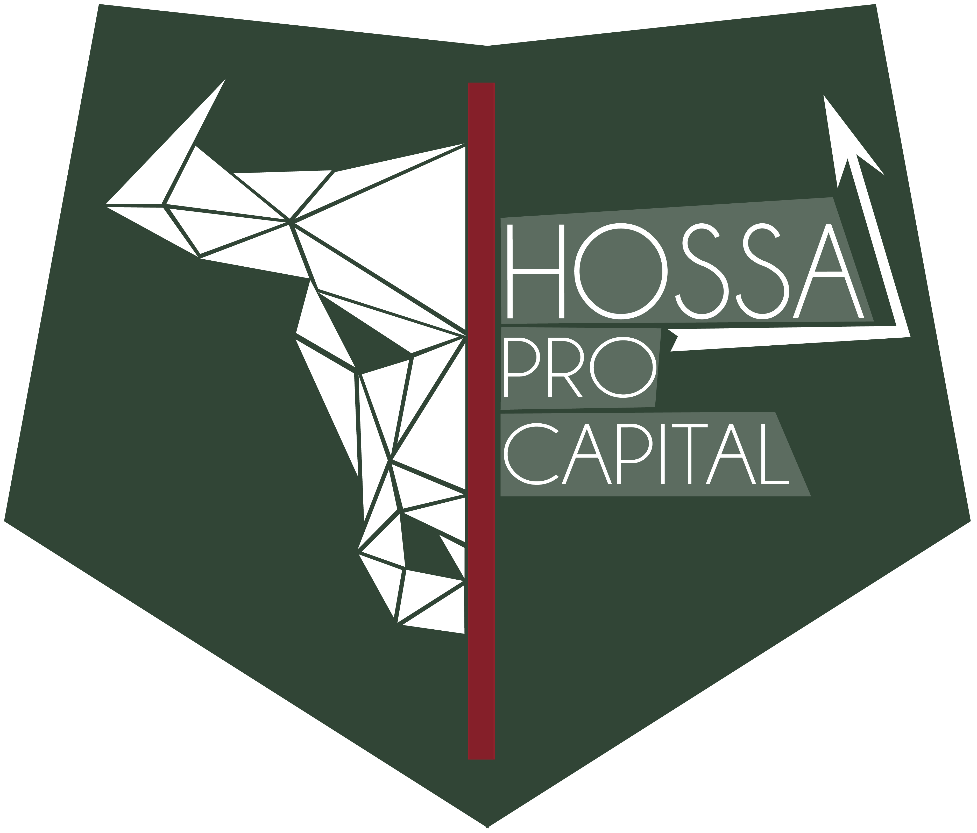 Hossa Pro Capital